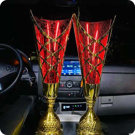 кубки Надії